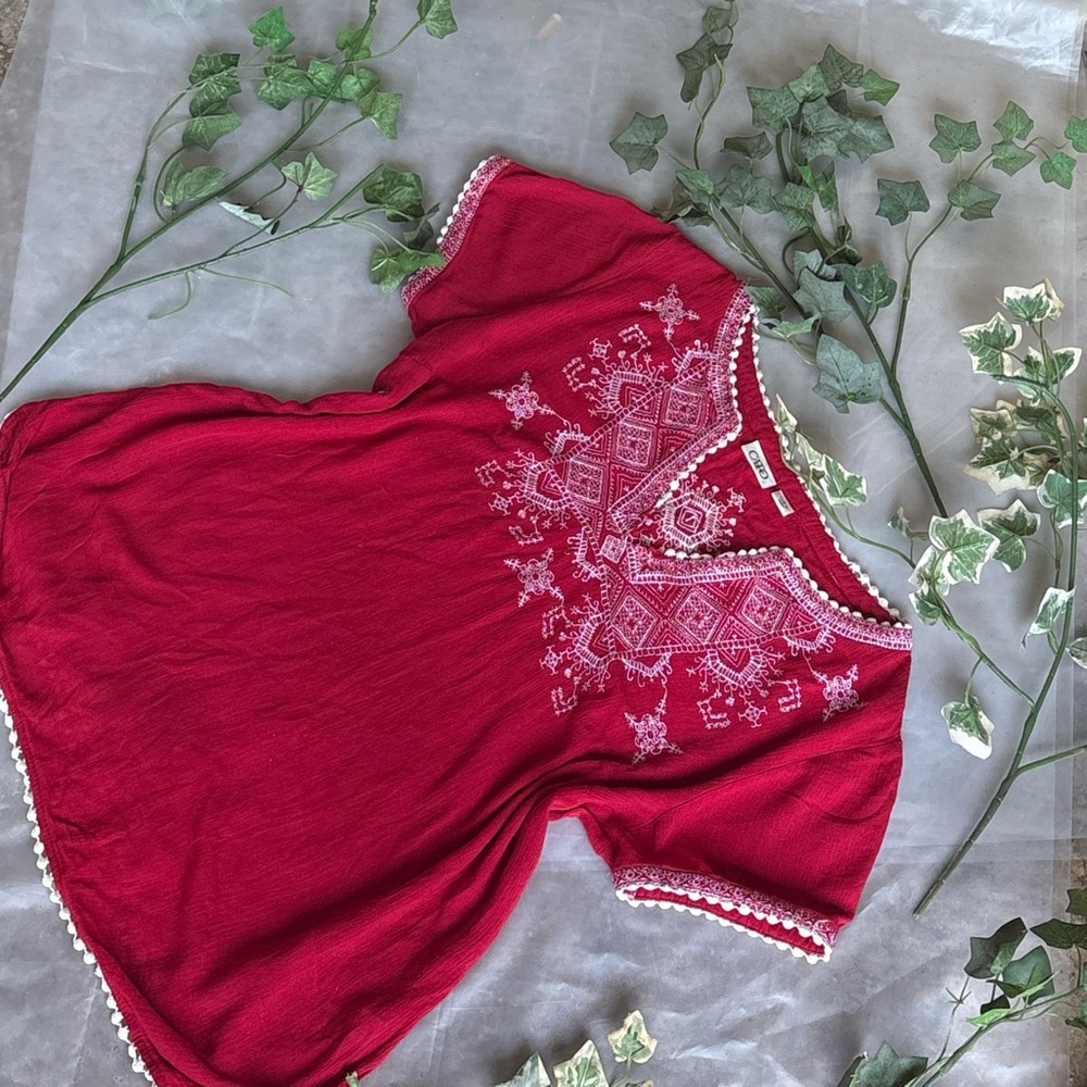 Cato Red and White Embroidered Blouse
